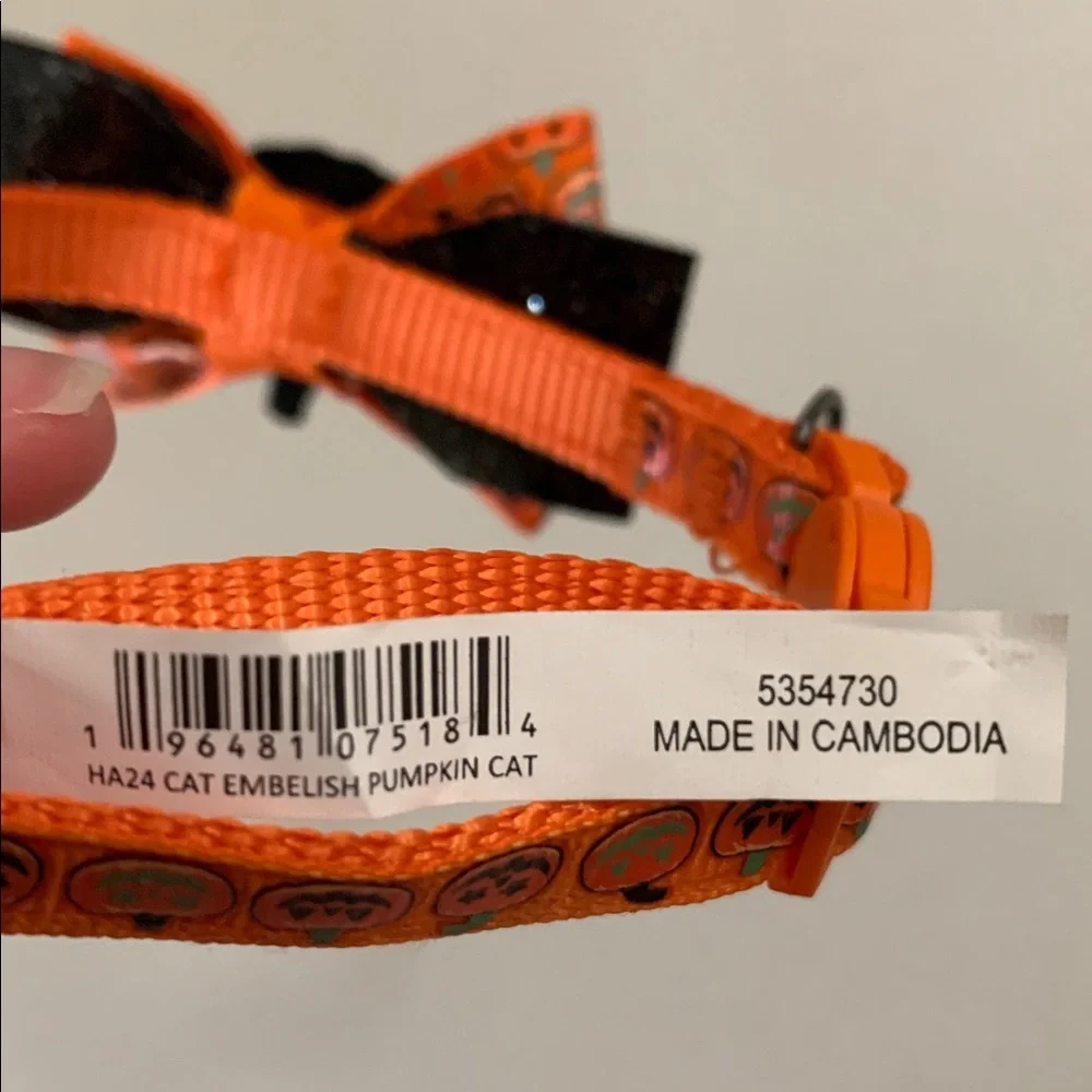 Cat Jack O Lantern Pumpkin Collar Bell Breakaway Latch Orange Black Green